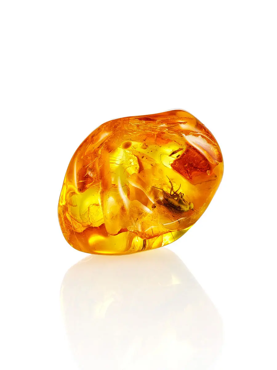 картинка Натуральный янтарь яркого лимонного цвета с инклюзами насекомых в онлайн магазине
