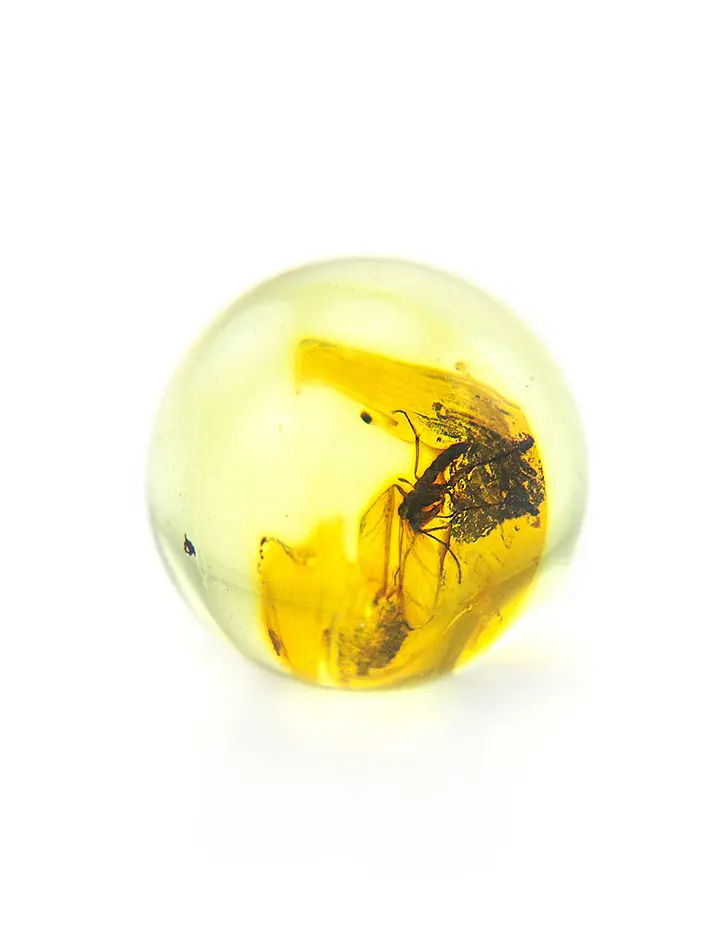 картинка Небольшой сувенир-шарик с инклюзом насекомого в онлайн магазине