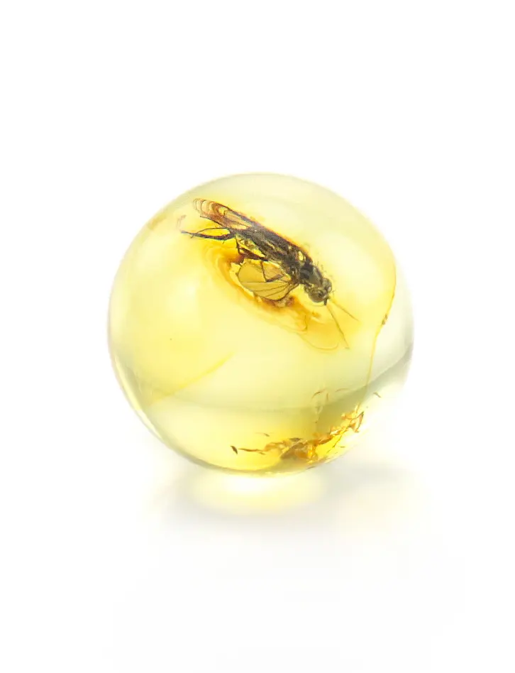 картинка Небольшой сувенир-шарик из прозрачного янтаря с инклюзом насекомого в онлайн магазине