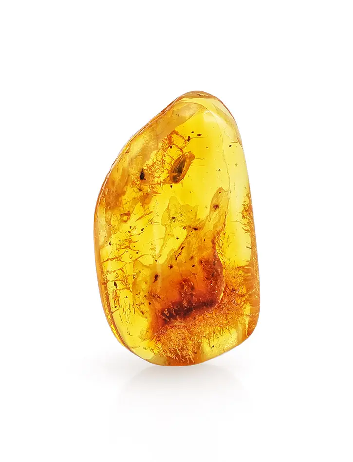 картинка Кусочек янтаря с природной текстурой и инклюзом доисторического жучка в онлайн магазине