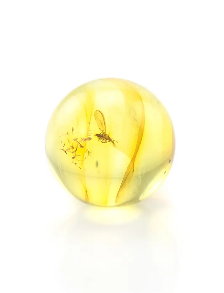 картинка Небольшой сувенир-шарик из прозрачного лимонного янтаря с инклюзом насекомого в онлайн магазине