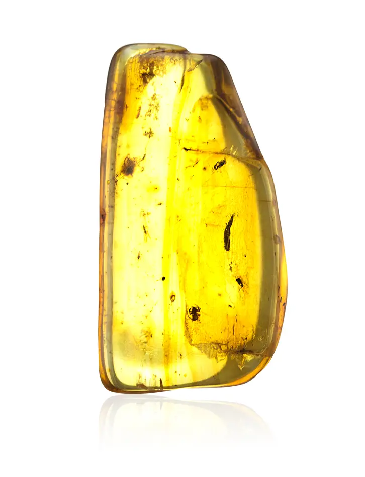 картинка Небольшой кусочек натурального янтаря с инклюзами насекомых в онлайн магазине