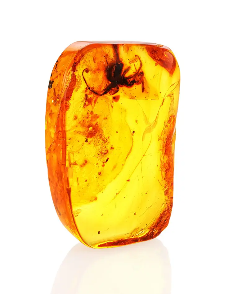 картинка Цельный кусочек натурального балтийского янтаря с инклюзом паука в онлайн магазине