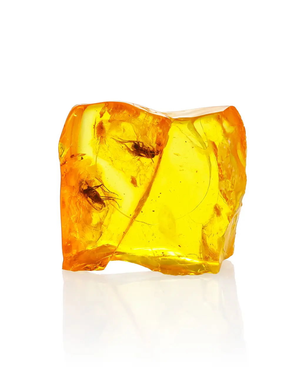 картинка Сувенирный янтарь с инклюзами в коробочке с лупой в онлайн магазине