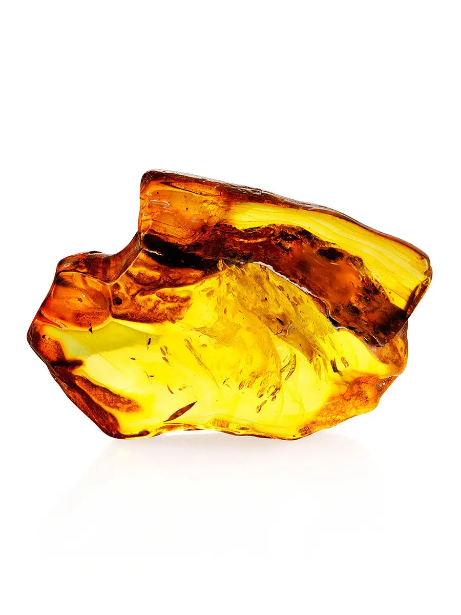 картинка Натуральный полупрозрачный янтарь насыщенного золотистого цвета с инклюзами небольших насекомых в онлайн магазине
