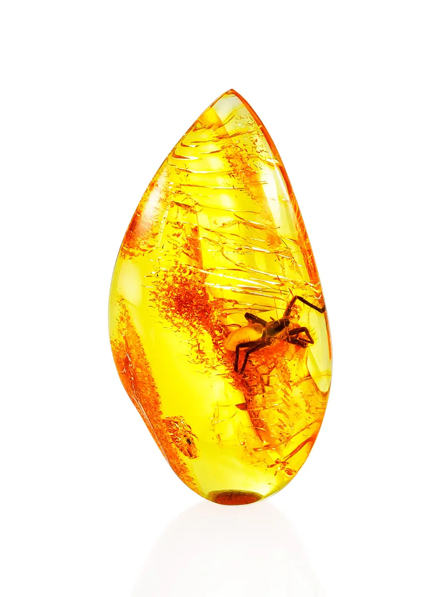 картинка Натуральный прозрачный янтарь с инклюзом паука в онлайн магазине