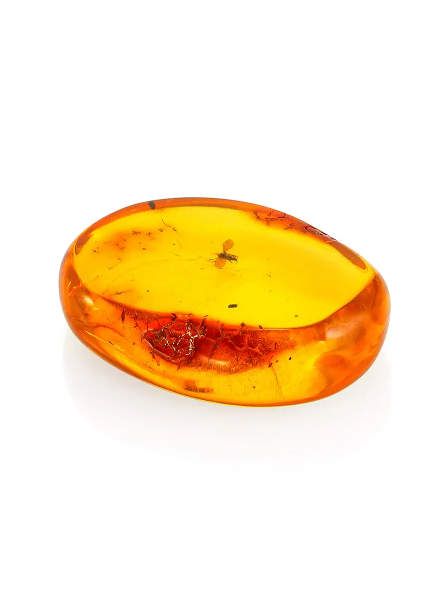 картинка Натуральный балтийский сувенирный янтарь с инклюзом насекомого в онлайн магазине