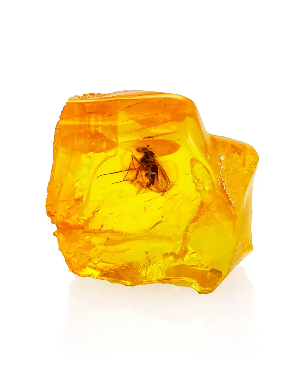 картинка Кусочек натурального балтийского янтаря с инклюзом мухи в онлайн магазине