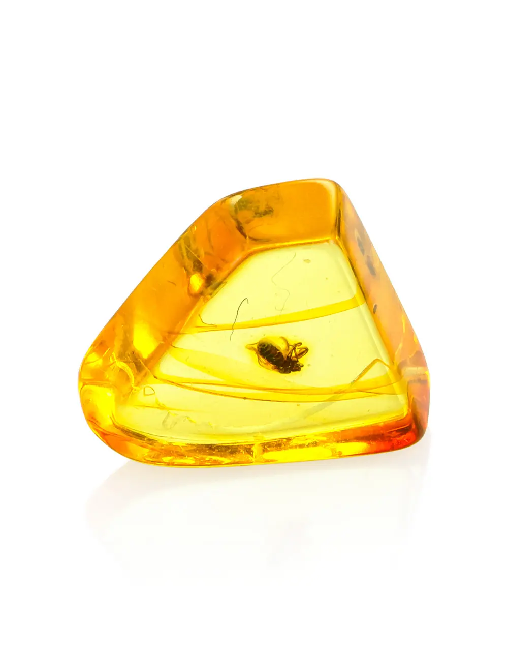 картинка Сувенирный янтарь с инклюзом в боксе с лупой в онлайн магазине