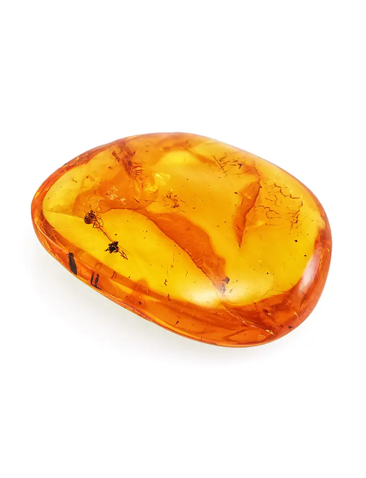 картинка Натуральный балтийский янтарь лимонного оттенка с инклюзом мошки в онлайн магазине