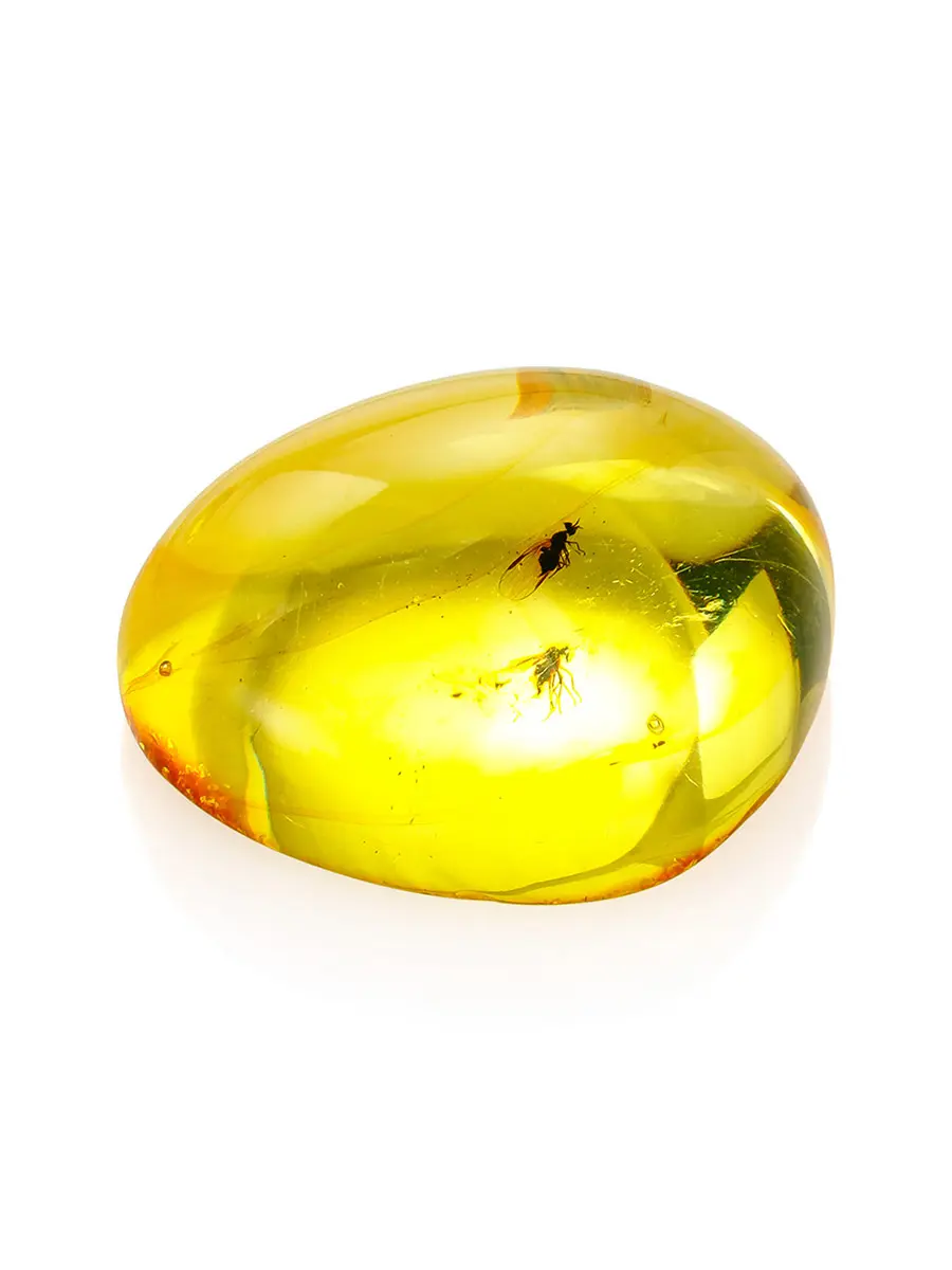 картинка Натуральный балтийский янтарь с инклюзом мушки в онлайн магазине