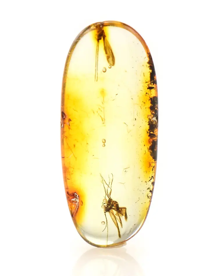 картинка Маленький кусочек натурального балтийского лимонного янтаря с инклюзами насекомых в онлайн магазине