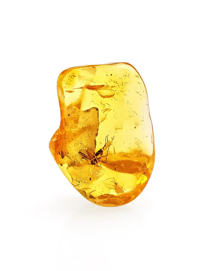 картинка Прозрачный кусочек балтийского янтаря природной дикой формы с инклюзом «Комарик» в онлайн магазине