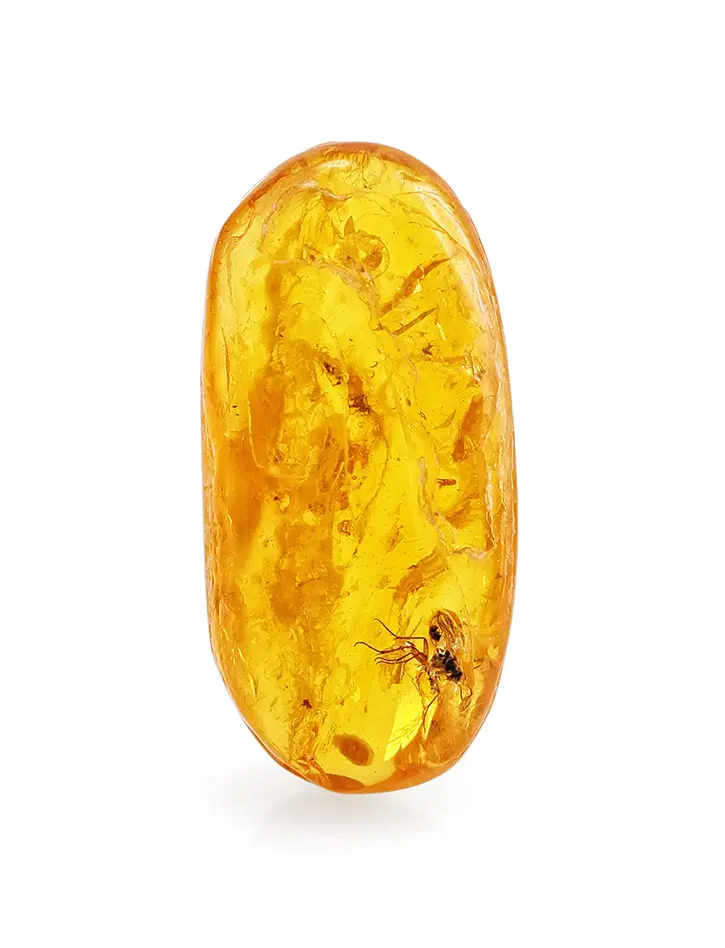 картинка Натуральный янтарь с включением древнего насекомого в онлайн магазине
