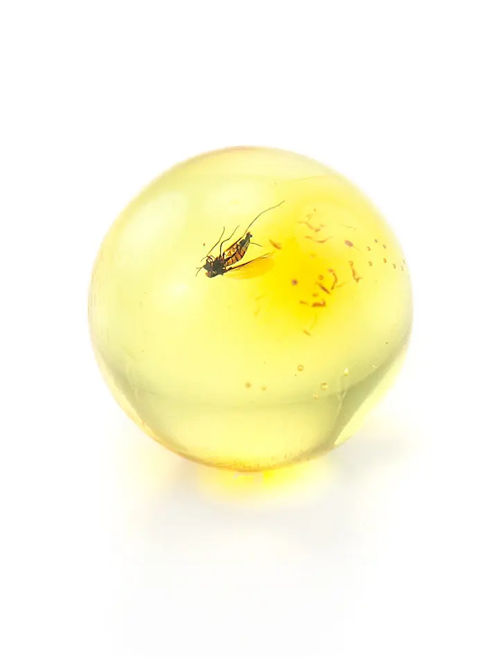 картинка Небольшой сувенир-шарик из прозрачного лимонного янтаря с инклюзом мошки в онлайн магазине