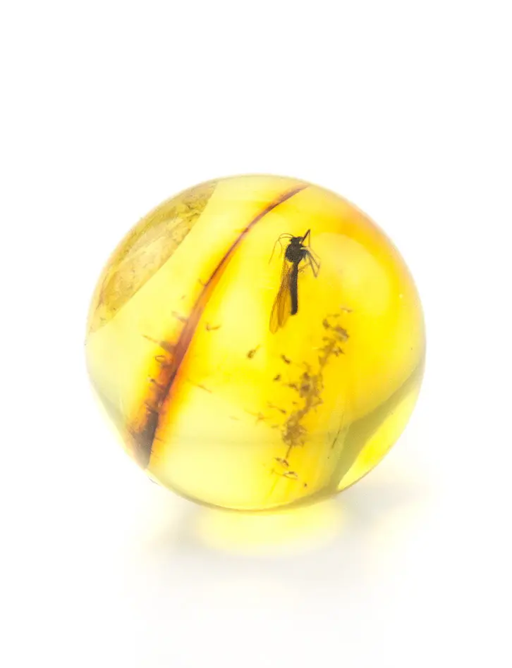картинка Сувенир-шарик из прозрачного лимонного янтаря с крупным включением мошки в онлайн магазине