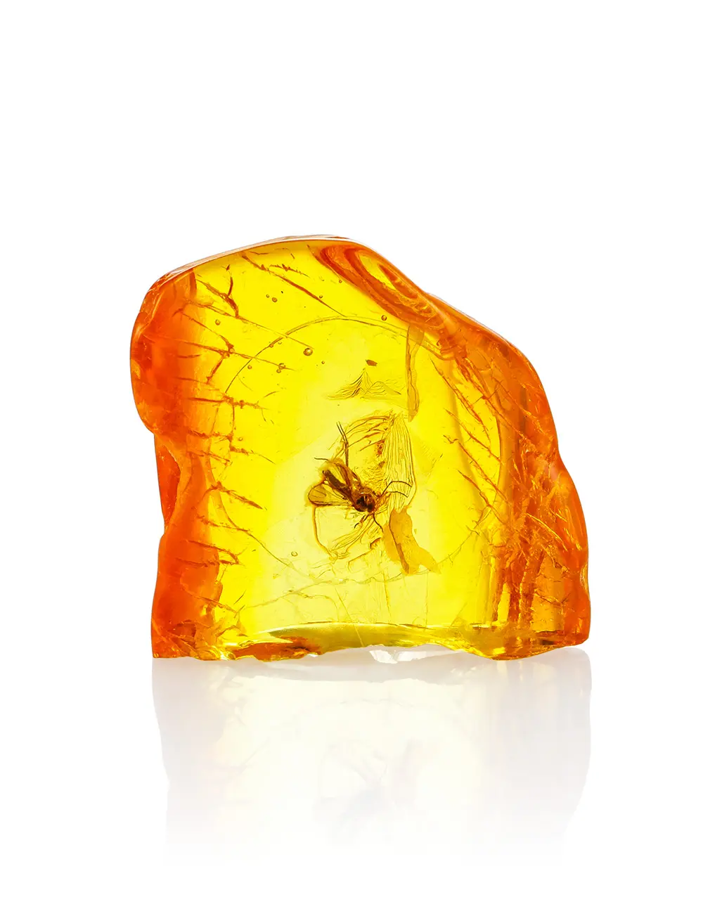 картинка Сувенирный кусочек янтаря с инклюзом в коробочке с линзой в онлайн магазине