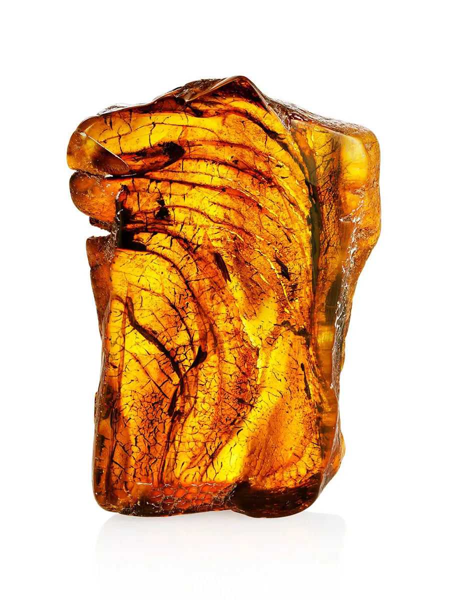 картинка Натуральный балтийский янтарь с инклюзом доисторического насекомого в онлайн магазине