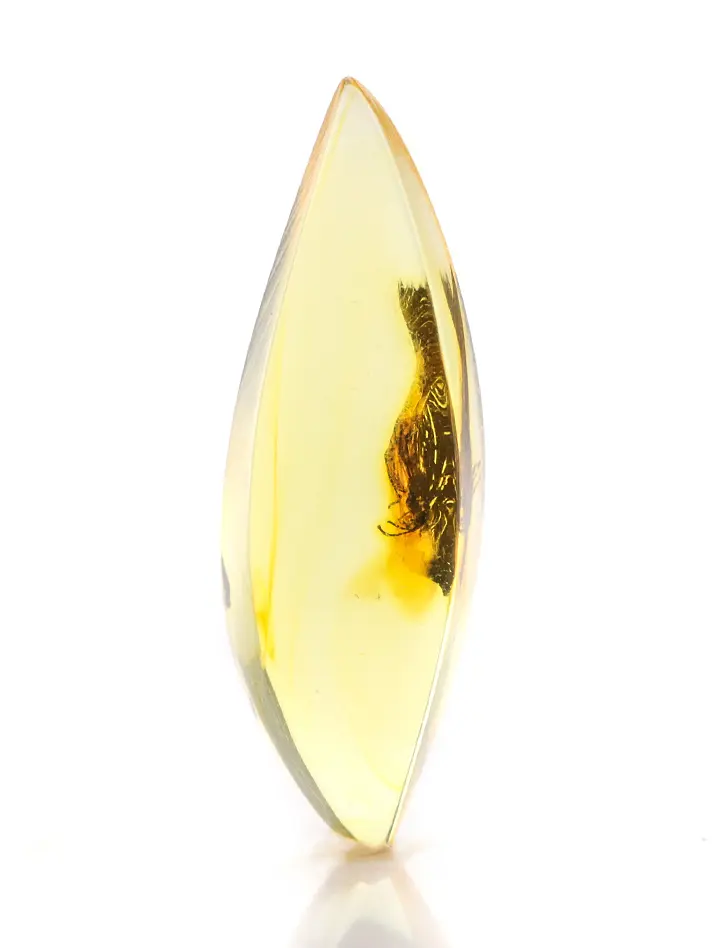 картинка Маленький прозрачный янтарь с включением насекомого в онлайн магазине