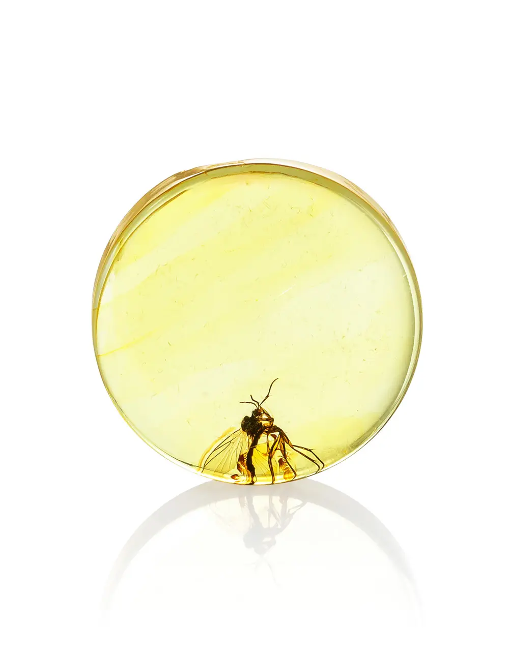 картинка Сувенирный инклюз в коробочке с лупой в онлайн магазине