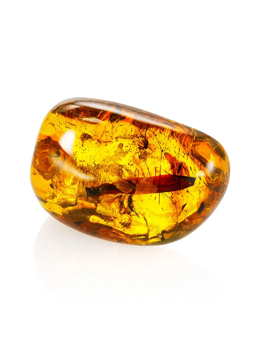 картинка Сувенирный янтарь с инклюзами насекомых и органическими включениями в онлайн магазине