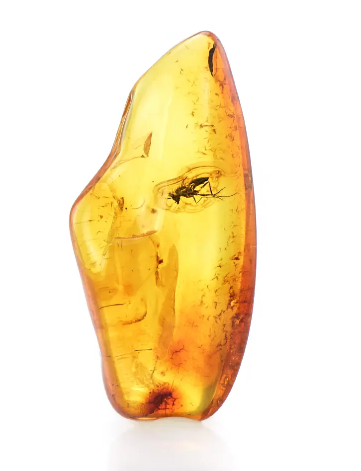 картинка Натуральный прозрачный янтарь коньячного цвета с инклюзом в онлайн магазине