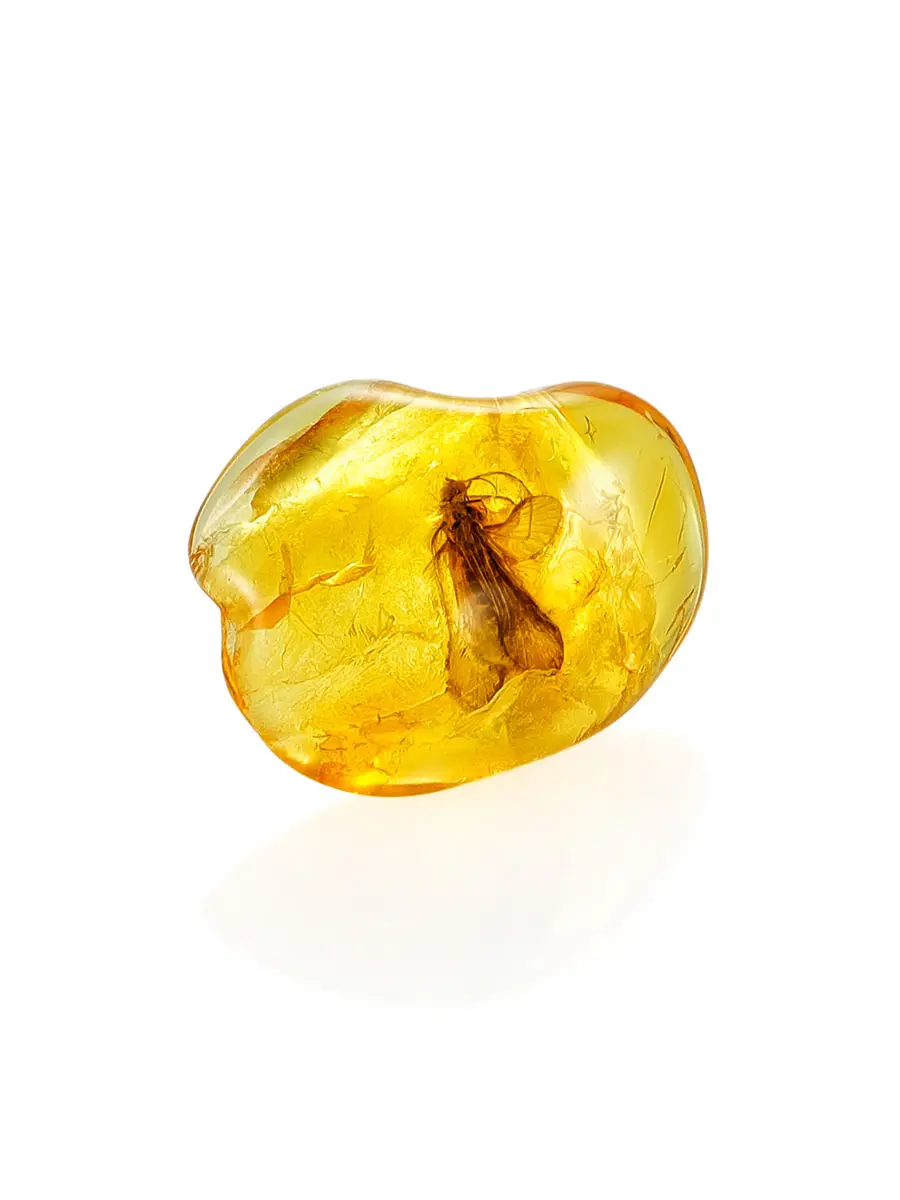 картинка Небольшой кусочек натурального янтаря с инклюзом насекомого в онлайн магазине