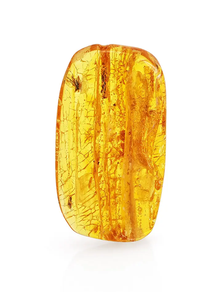 картинка Кусочек янтаря со слоистой текстурой с инклюзом доисторического насекомого в онлайн магазине