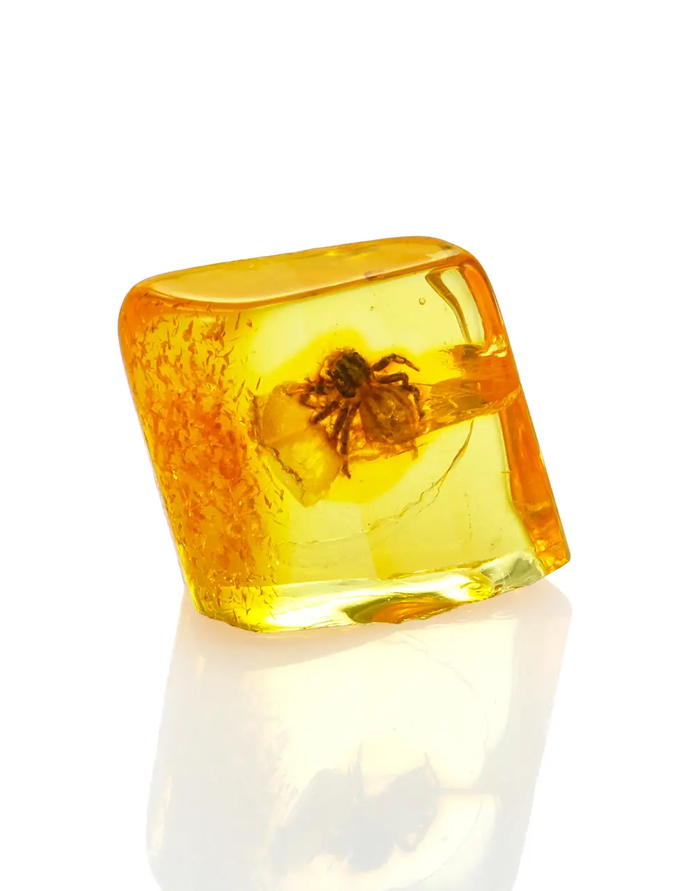 картинка Сувенирный инклюз в коробочке с лупой «Паучок» в онлайн магазине