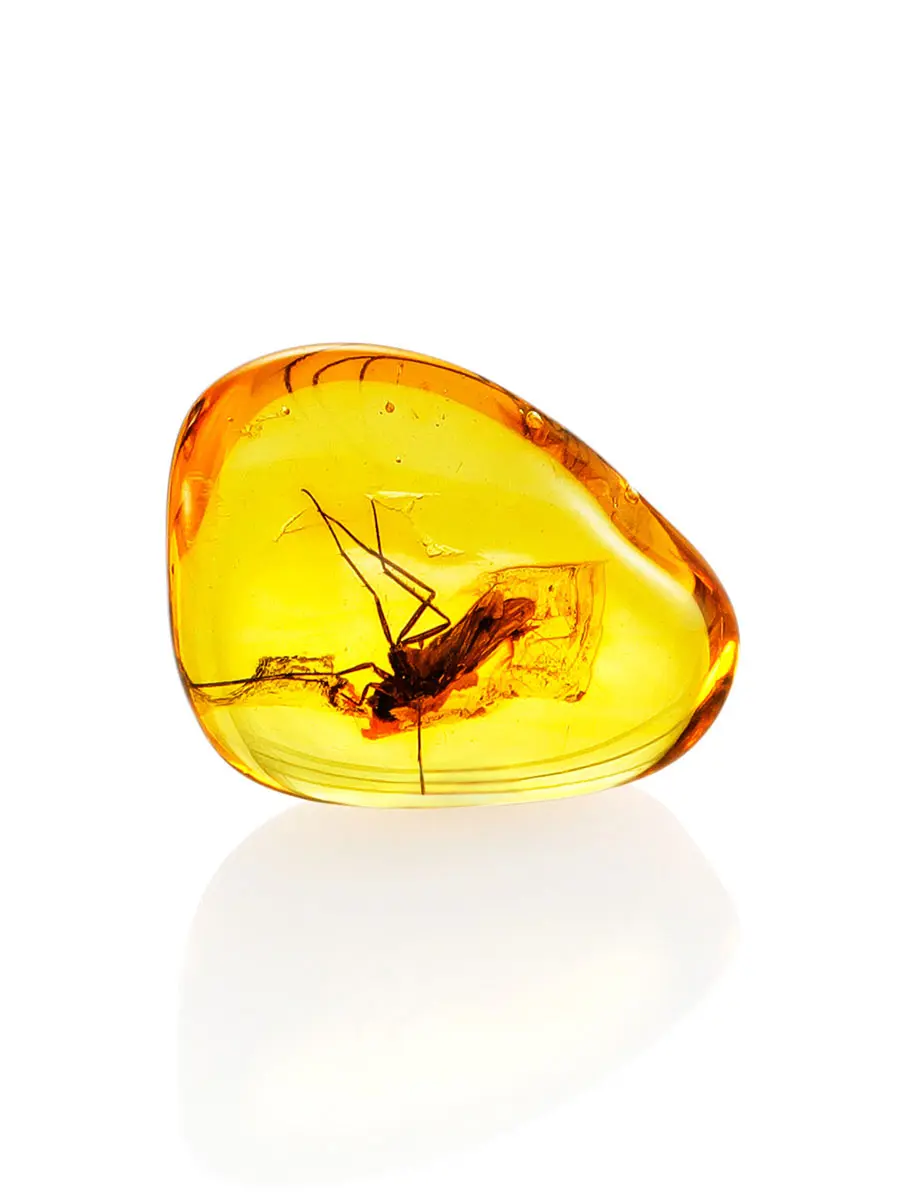 картинка Небольшой кусочек натурального балтийского янтаря лимонного цвета с включением насекомого в онлайн магазине