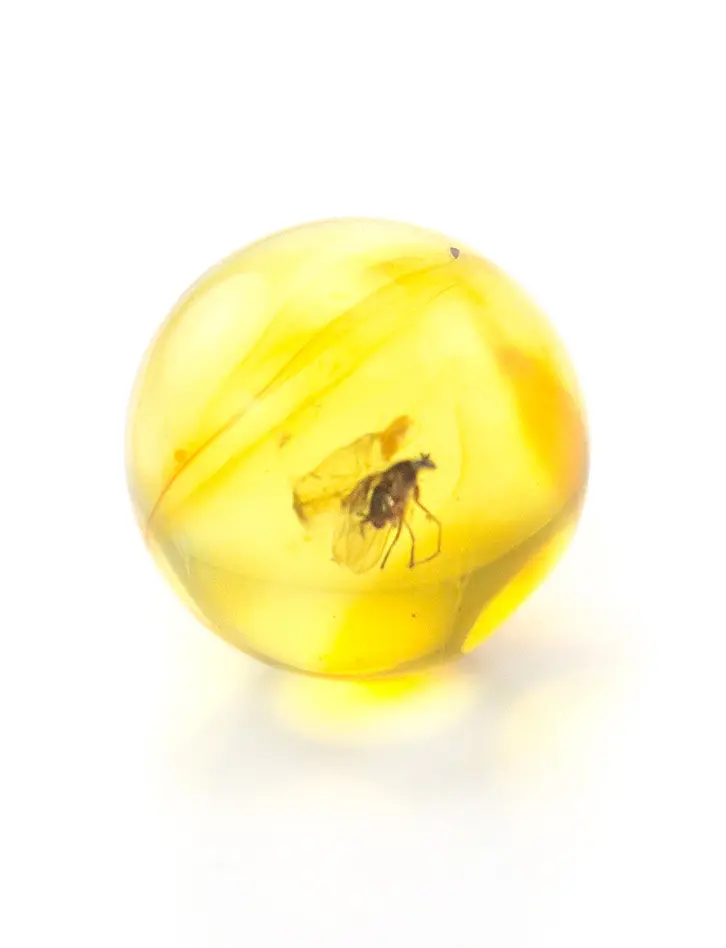 картинка Небольшой сувенир-шарик из прозрачного лимонного янтаря с включением мошки в онлайн магазине