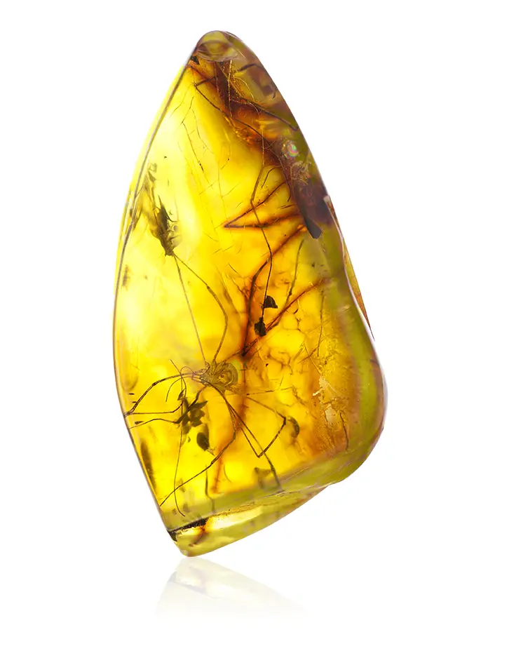 картинка Кусочек натурального янтаря с инклюзами насекомых «Паучок» в онлайн магазине