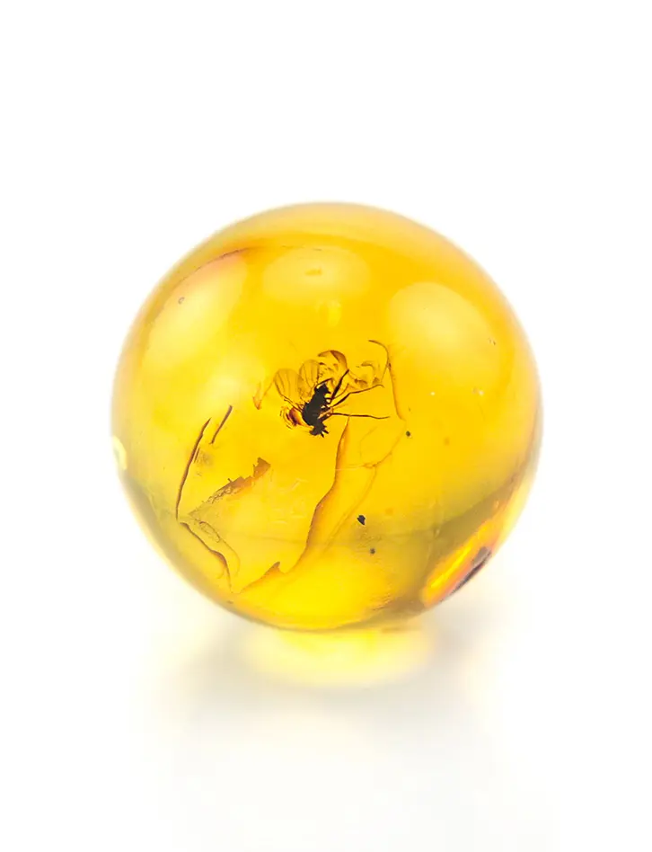 картинка Небольшой сувенир-шарик из прозрачного коньячного янтаря с инклюзом мошки в онлайн магазине