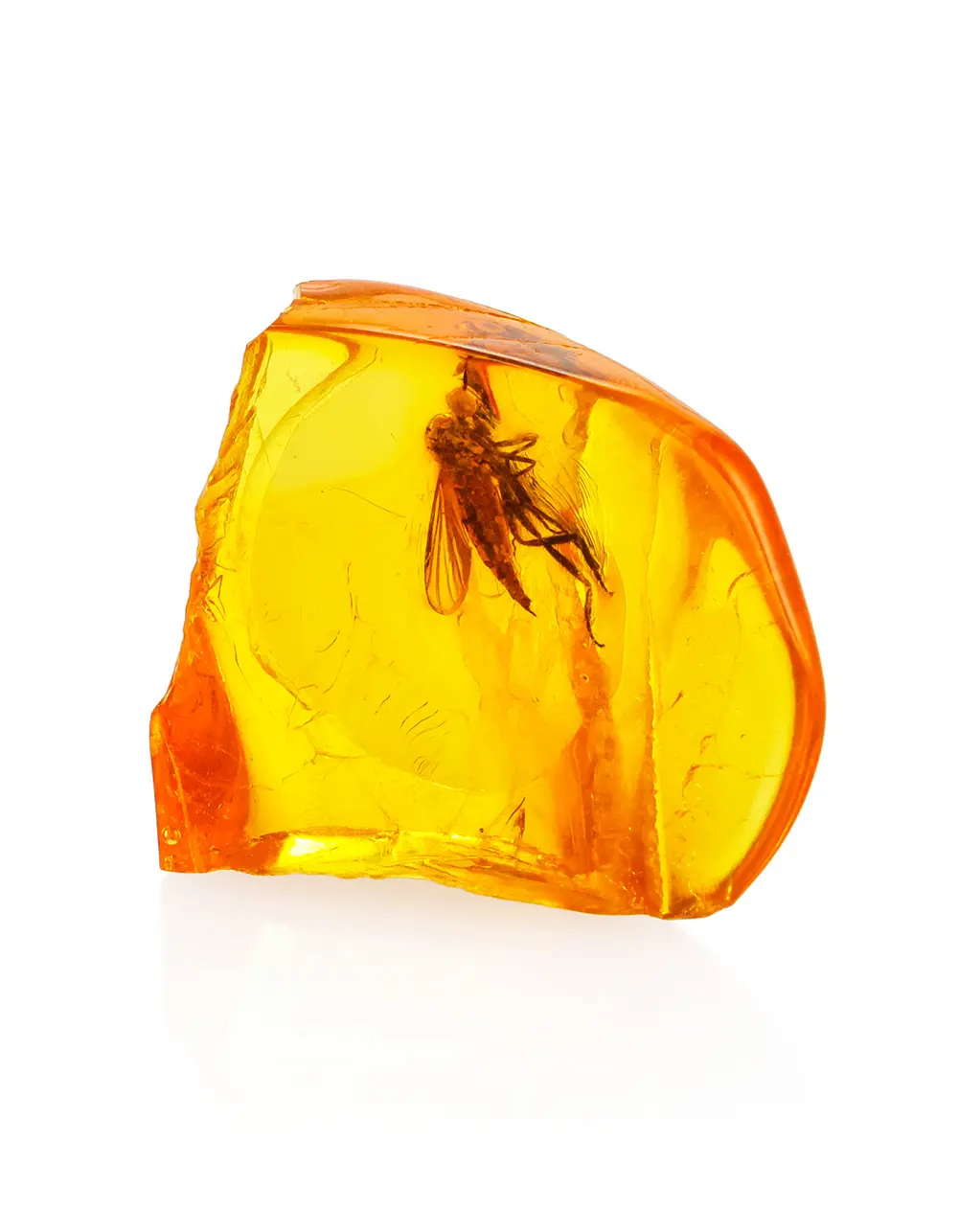 картинка Натуральный янтарь с включением насекомого в онлайн магазине