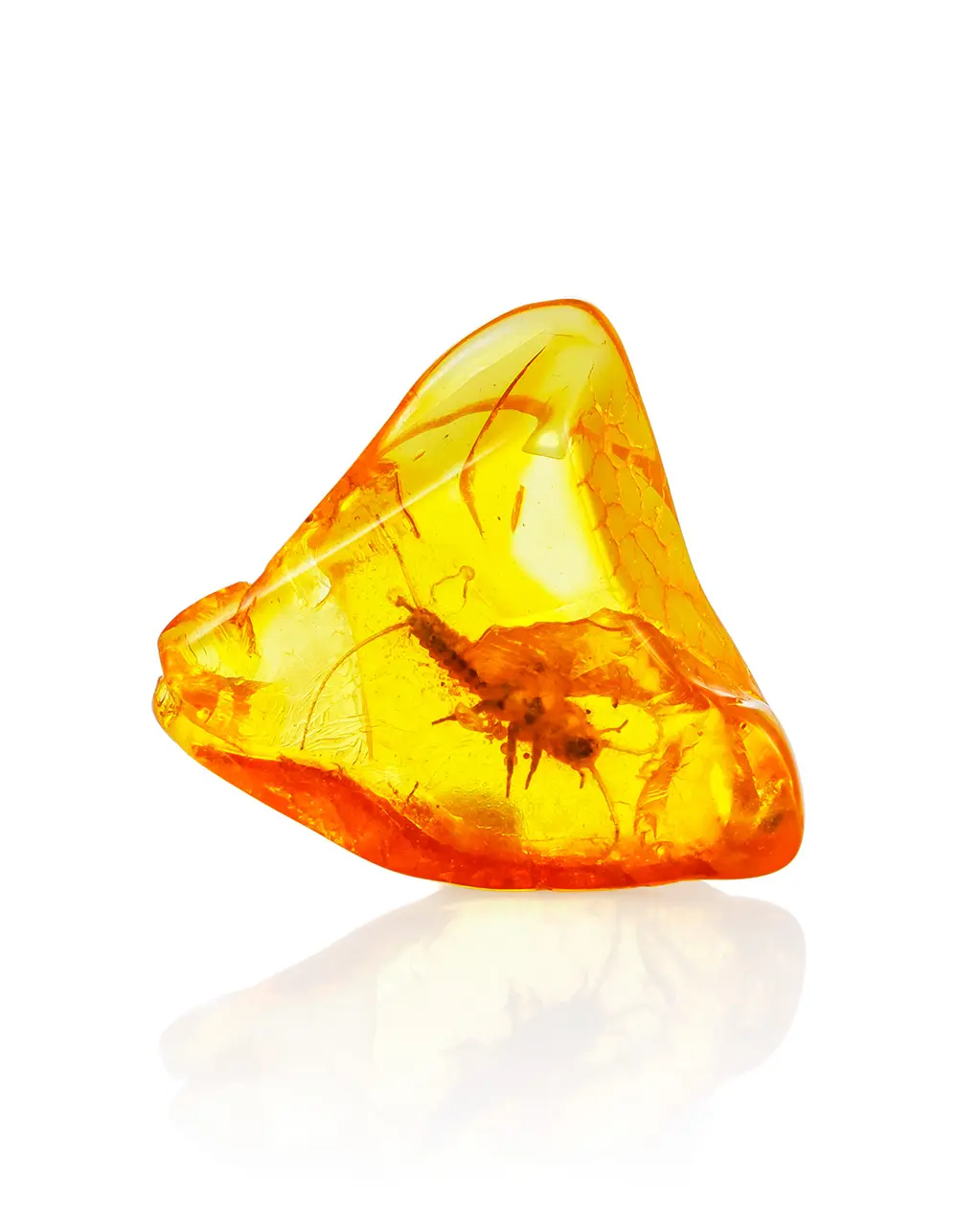 картинка Небольшой сувенирный янтарь с включением нимфы стрекозы в онлайн магазине