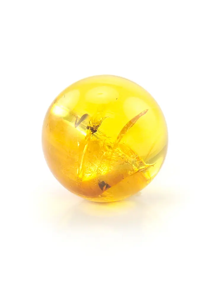 картинка Небольшой сувенир-шарик из прозрачного текстурного лимонного янтаря с инклюзом насекомого в онлайн магазине