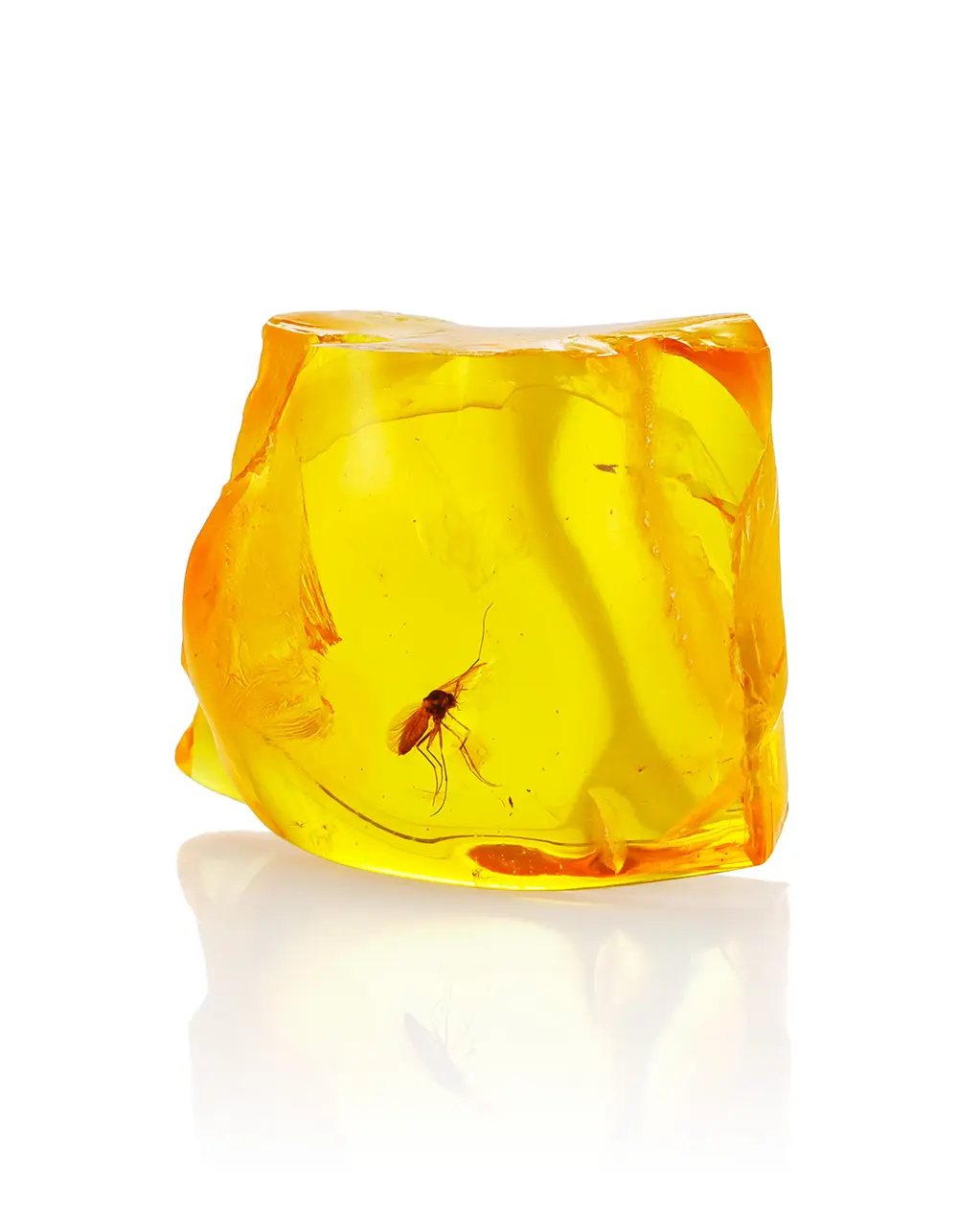 картинка Сувенирный балтийский янтарь с инклюзом мушки в онлайн магазине