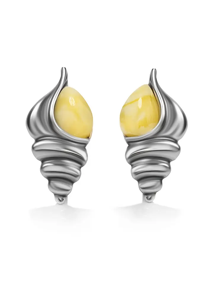 картинка Стильные серьги-пусеты из серебра и натурального янтаря медового цвета «Ракушка» в онлайн магазине