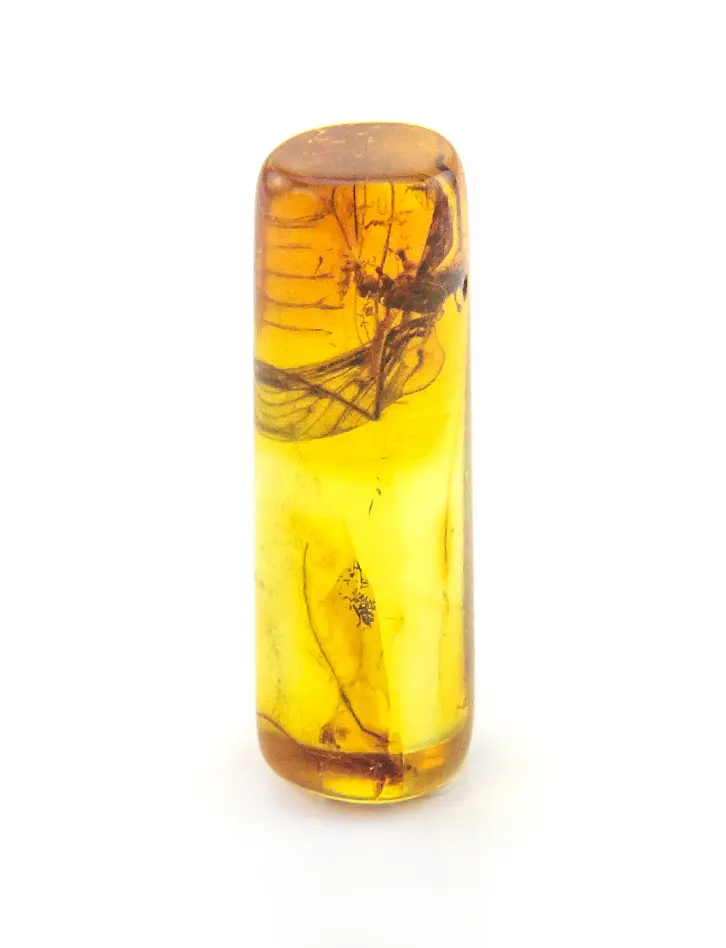 картинка Сувенир из натурального янтаря «Крупный комарик в цилиндре» в онлайн магазине