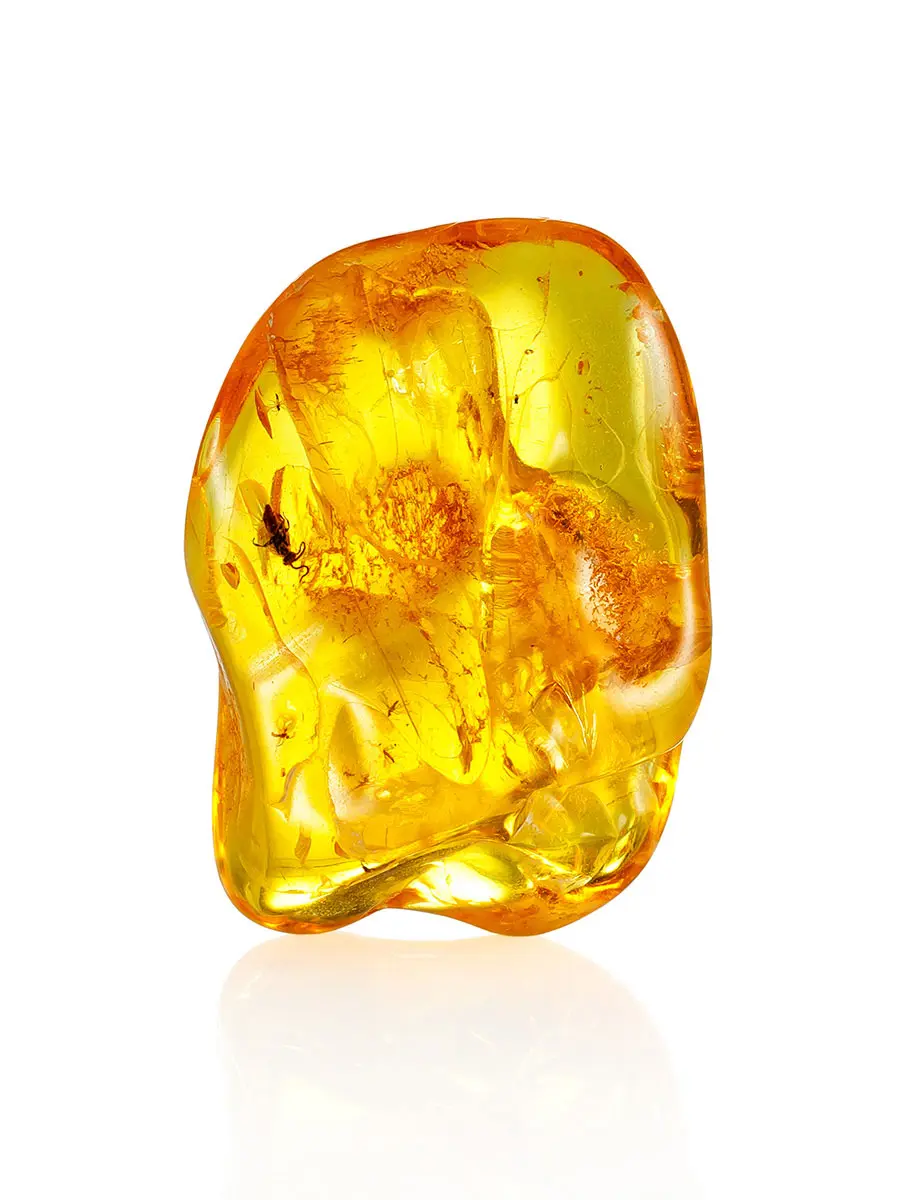 картинка Крупный прозрачный янтарь золотистого цвета с инклюзом «Мушка» в онлайн магазине