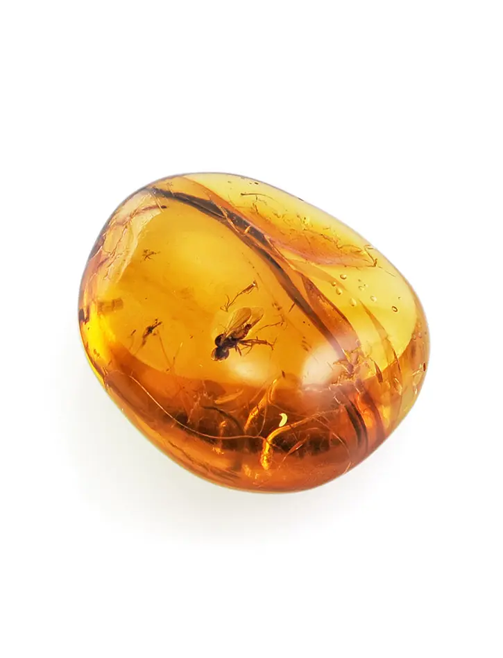 картинка Глянцевый кусочек янтаря с инклюзом маленькой мухи в онлайн магазине