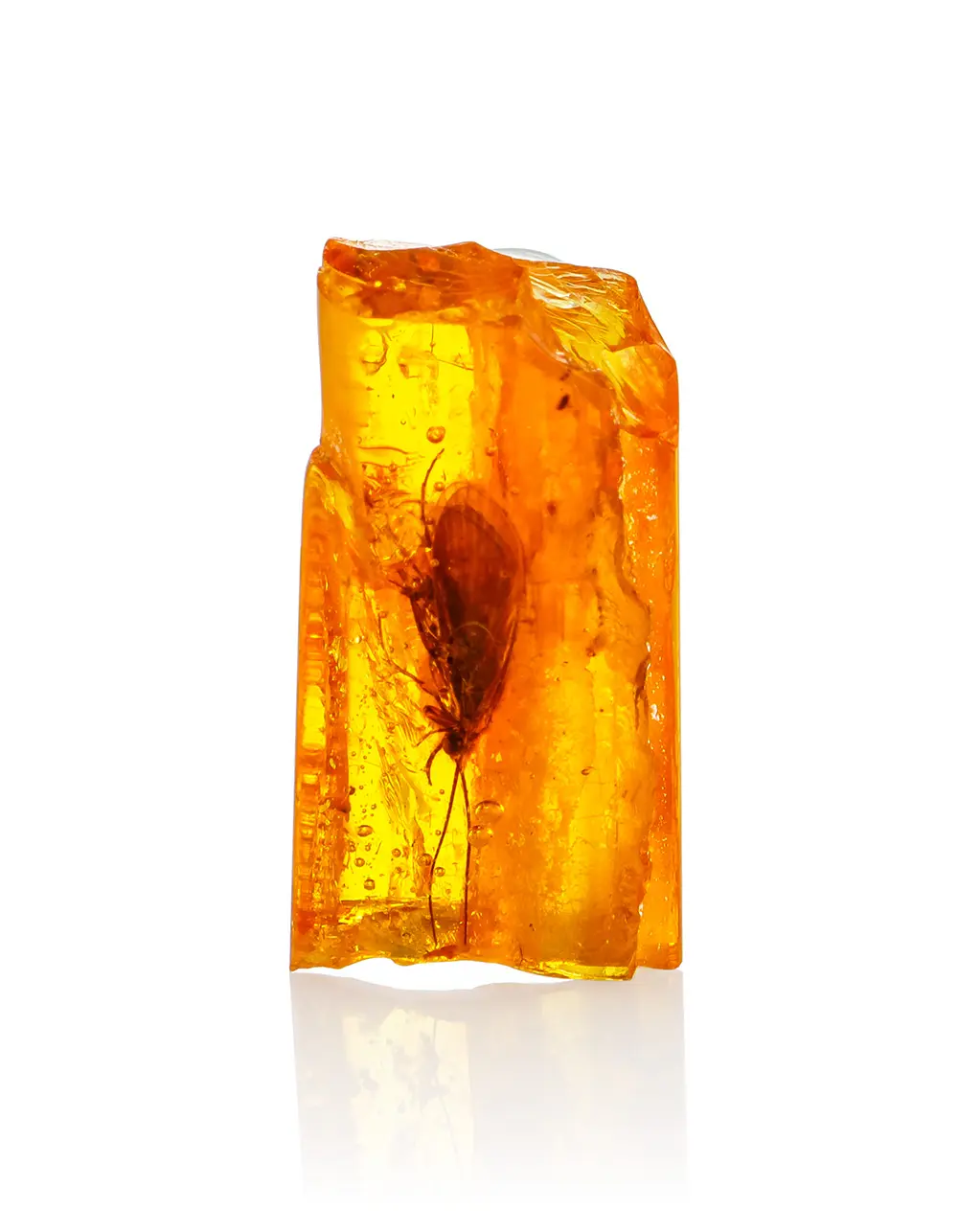 картинка Небольшой кусочек янтаря с инклюзом насекомого в сувенирном боксе в онлайн магазине