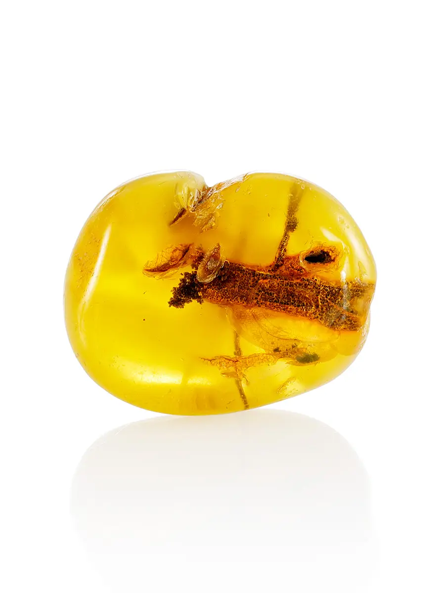 картинка Натуральный янтарь медового цвета с растительным включением  в онлайн магазине