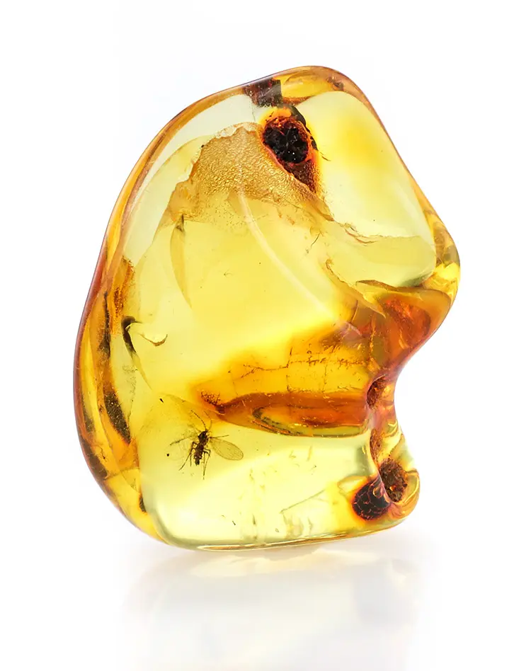 картинка Прозрачный кусочек балтийского янтаря природной дикой формы с инклюзом насекомого в онлайн магазине