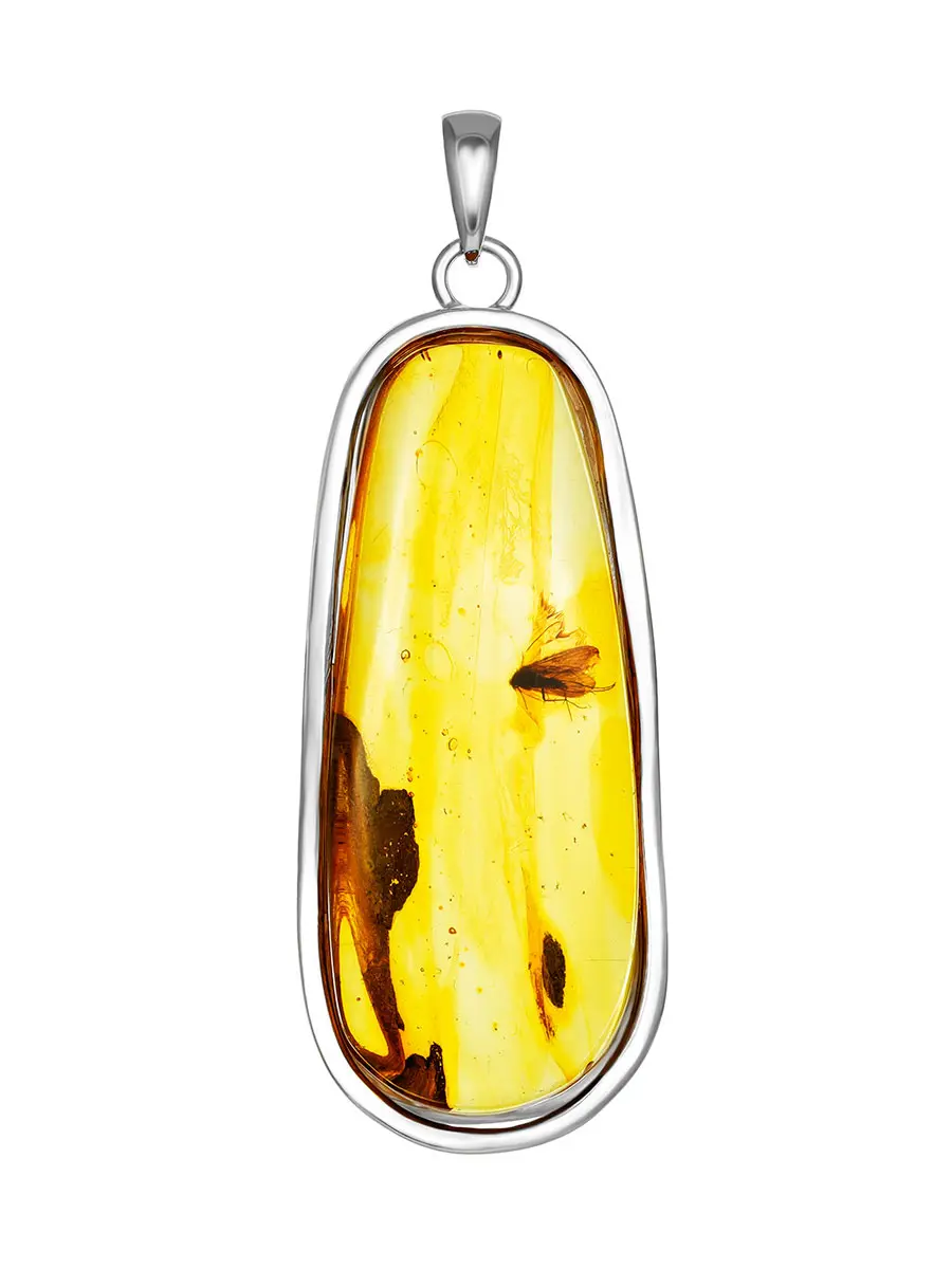 картинка Красивая подвеска из цельного янтаря с инклюзом мухи в онлайн магазине