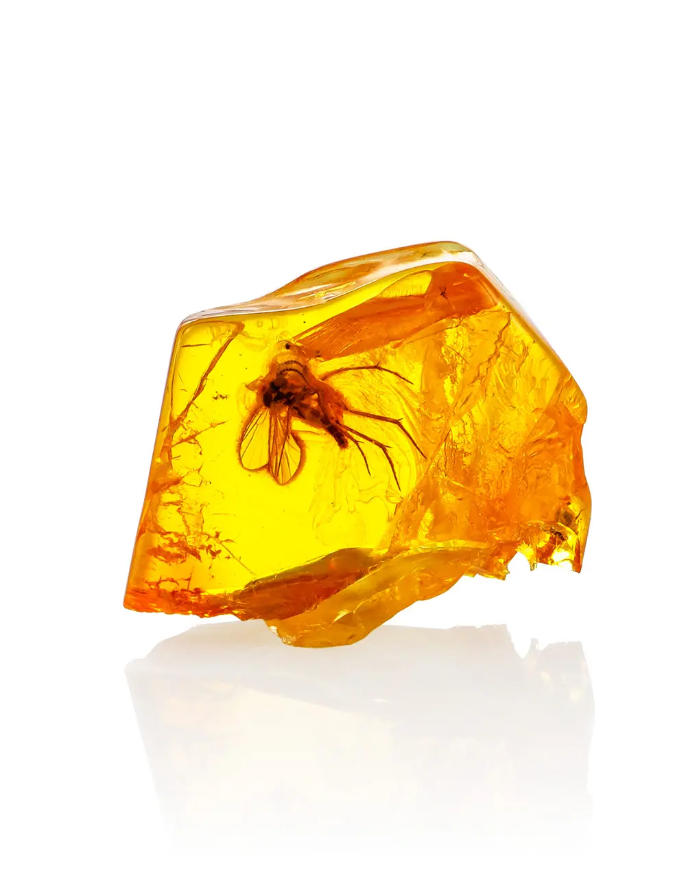 картинка Красивый глянцевый янтарь золотистого цвета с инклюзом в онлайн магазине