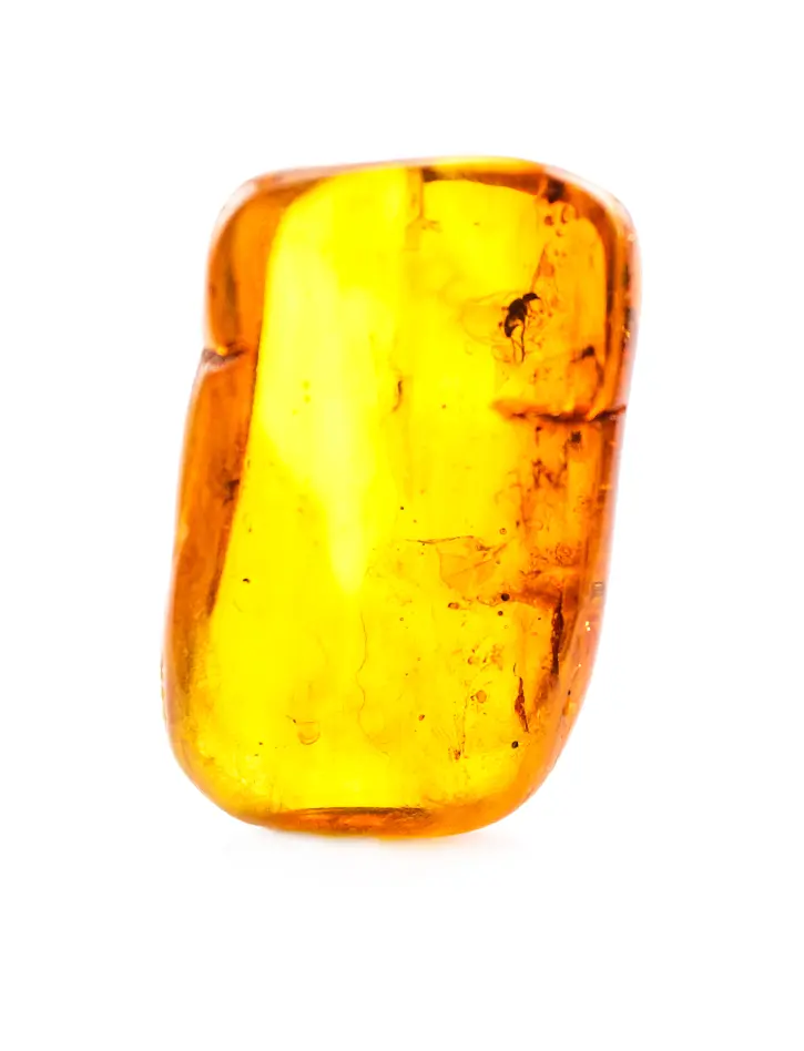 картинка Натуральный янтарь яркого коньячного цвета с инклюзами насекомых в онлайн магазине