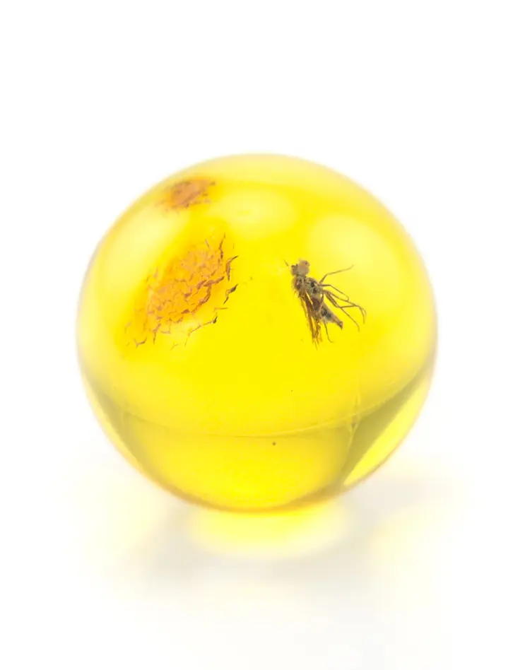 картинка Крупный сувенир-шарик из прозрачного лимонного янтаря с инклюзом насекомого в онлайн магазине