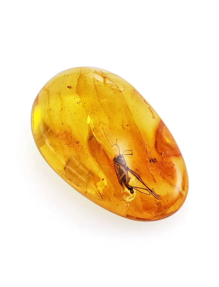 картинка Натуральный прозрачный янтарь золотистого оттенка с крупным инклюзом в онлайн магазине