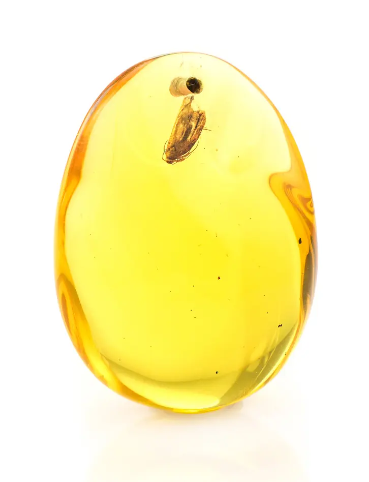 картинка Крупный глянцевый кусочек натурального балтийского янтаря лимонного цвета с инклюзом в онлайн магазине